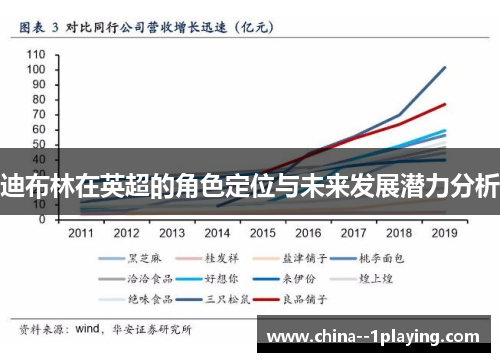 迪布林在英超的角色定位与未来发展潜力分析